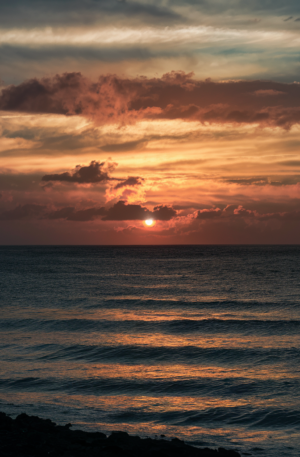 Climate Change online certificate program micro-credentials uk to get better ecological understanding