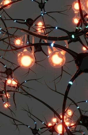 Neuroscience online degree program with uk university to develop an expertise in a prestigious field