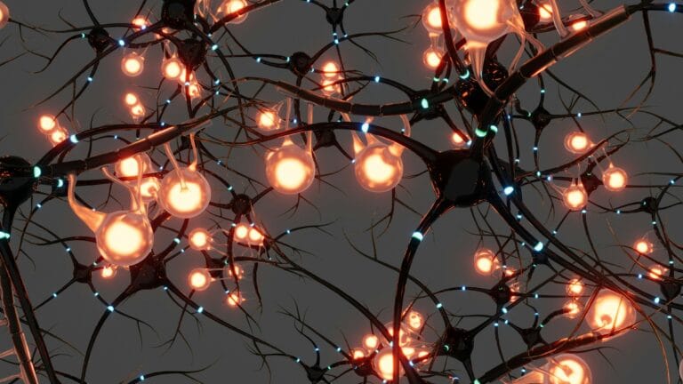 Neuroscience online degree program with uk university to develop an expertise in a prestigious field