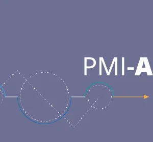 PMI-ACP agile online certification program capabilities for agile skills