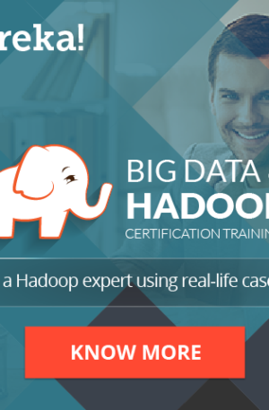 Targeted certification programs Big data and Hadoop for professional skills