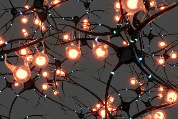 Neuroscience online degree program with uk university to develop an expertise in a prestigious field