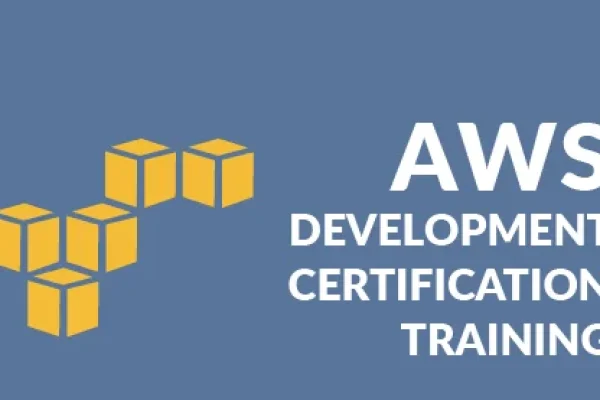 Practical professional certificates in amazon aws developer certification creating an expertise for in IT