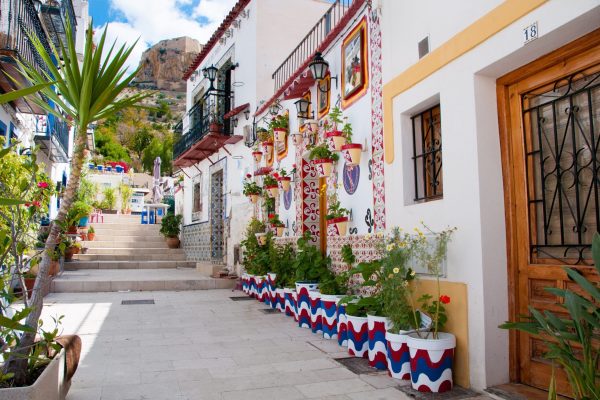 best online spanish certificate programs allow to beginner to get the basics